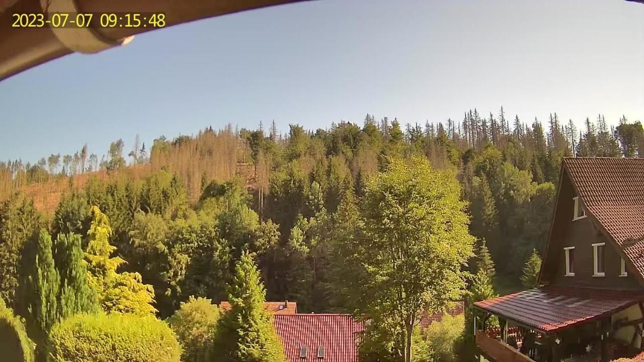Monteur- Und Ferienwohnung Waldrauschen Fehrenbach Exterior foto