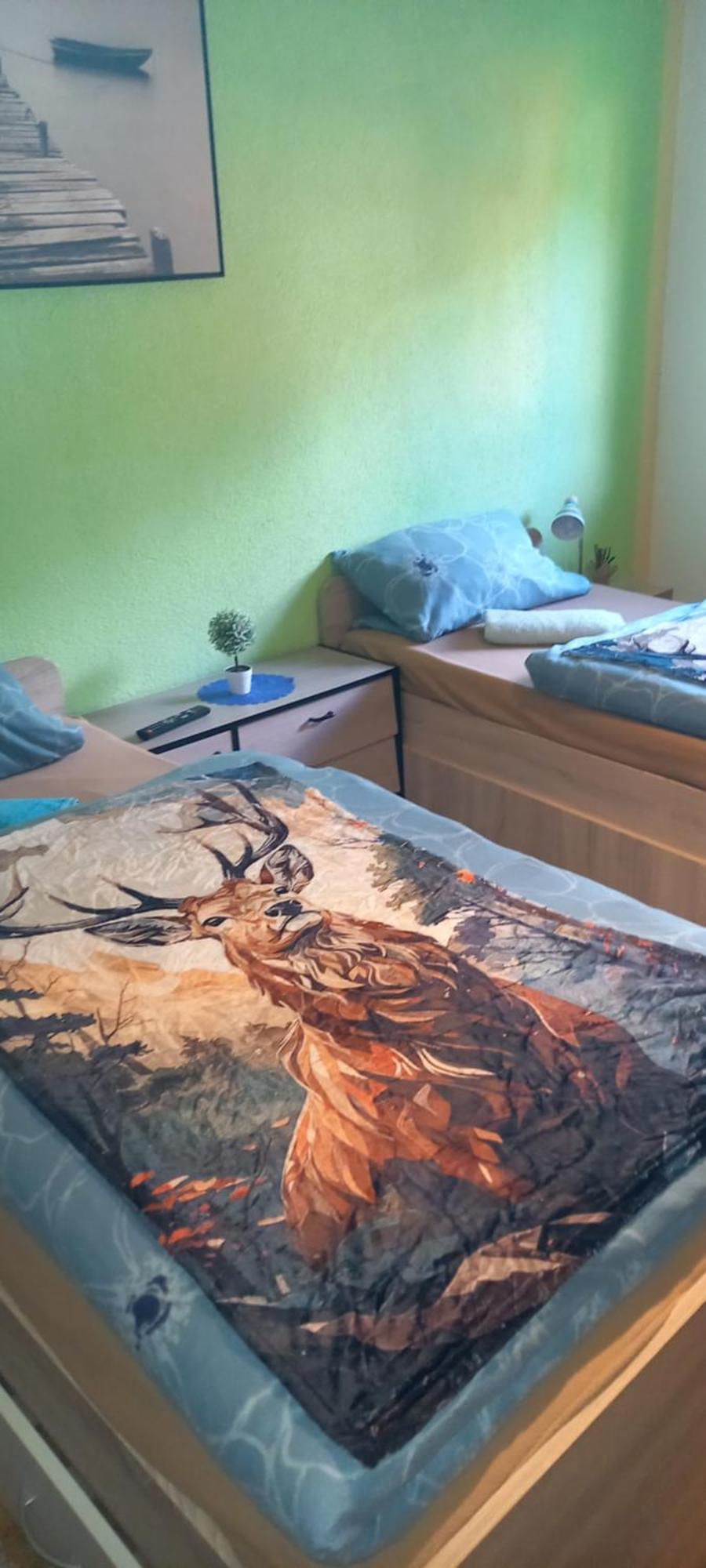Monteur- Und Ferienwohnung Waldrauschen Fehrenbach Exterior foto