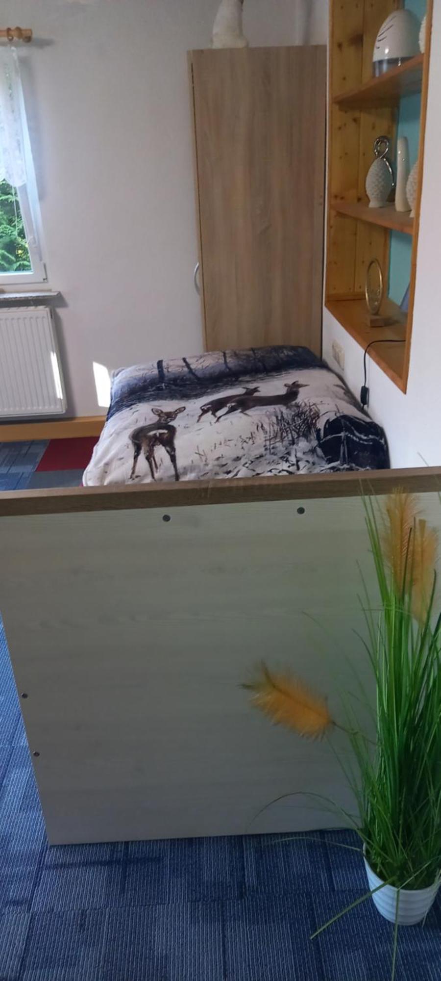 Monteur- Und Ferienwohnung Waldrauschen Fehrenbach Exterior foto
